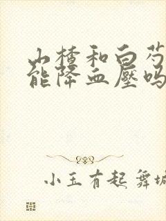 山楂和白芍泡水能降血压吗