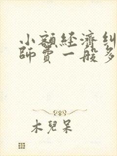 小额经济纠纷律师费一般多少钱