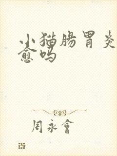 小猫肠胃炎能自愈吗