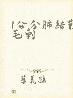 1公分肺结节有毛刺