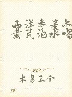 西洋参麦冬党参黄芪泡水喝的功效