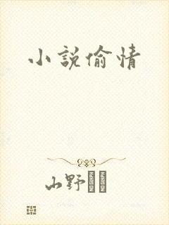 小说偷情