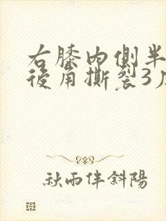 右膝内侧半月板后角撕裂3度