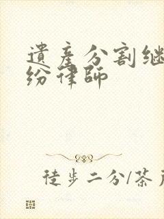 遗产分割继承纠纷律师封面