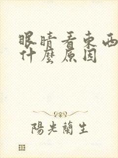 眼睛看东西模糊什么原因