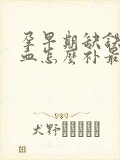 孕早期缺铁性贫血怎么补最快最好