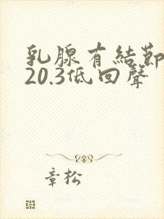 乳腺有结节0.20.3低回声