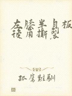 左膝半月板内侧后角撕裂