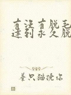 有没有脱毛可以达到永久脱毛的效果