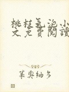 桃枝气泡小说全文免费阅读封面