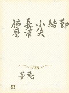 肺长小结节吃什么消失