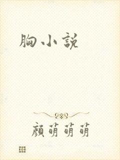 胸小说封面