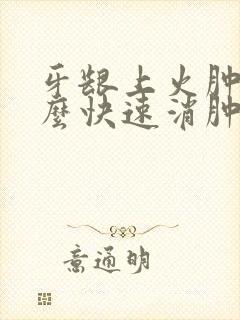 牙龈上火肿痛怎么快速消肿止痛
