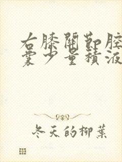 右膝关节腔髌上囊少量积液怎么办