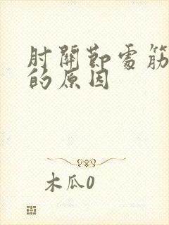 肘关节处筋疼痛的原因