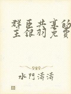 群臣共享的小公主银羽免费阅读封面