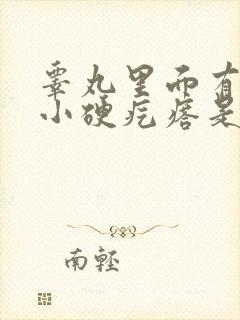 睾丸里面有两个小硬疙瘩是怎么回事