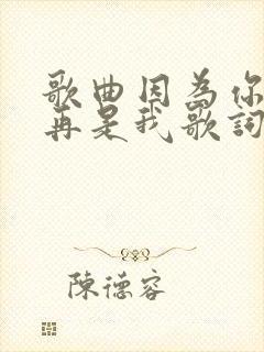 歌曲因为你我不再是我歌词封面