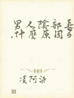 男人阴部长阴虱,什么原因引起的呢