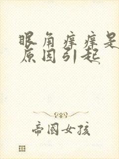 眼角痒痒是什么原因引起