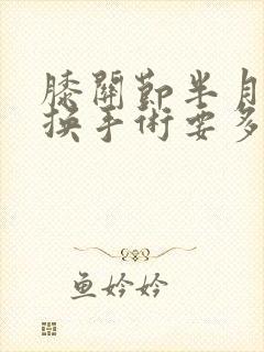 膝关节半月板置换手术要多少钱