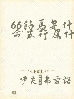 66的马是什么命五行属什么封面