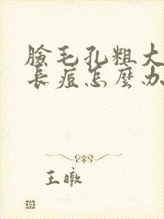 脸毛孔粗大容易长痘怎么办