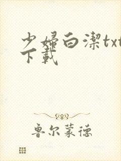 少妇白洁txt下载