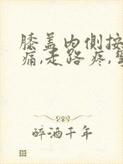膝盖内侧按压疼痛,走路疼,弯曲疼