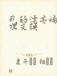 我的漂亮娇妻初次交换
