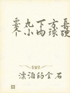睾丸下方长了一个小肉球硬硬的