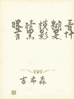 眼睛模糊看东西有黑影是什么原因引起的