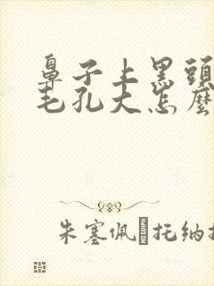 鼻子上黑头多,毛孔大怎么办