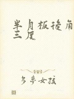 半月板后角撕裂三度