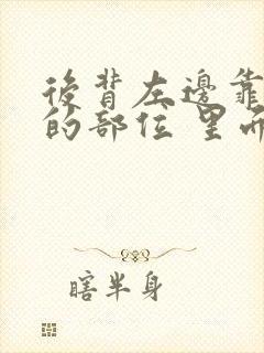 后背左边靠近腰的部位 里面疼封面
