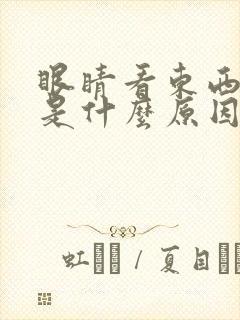 眼睛看东西模糊是什么原因