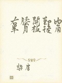 右膝关节内外侧半月板后角损伤