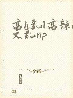 高h乱l高辣h文乱np