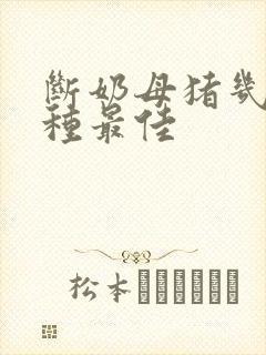断奶母猪几天配种最佳