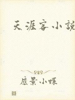 天涯客小说