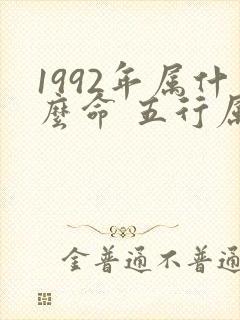 1992年属什么命 五行属什么