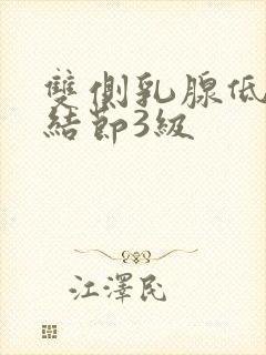 双侧乳腺低回声结节3级