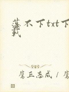 落不下txt下载