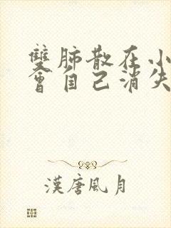 双肺散在小结节会自己消失吗