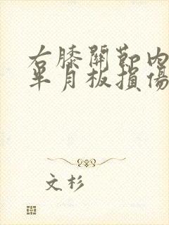右膝关节内外侧半月板损伤1级