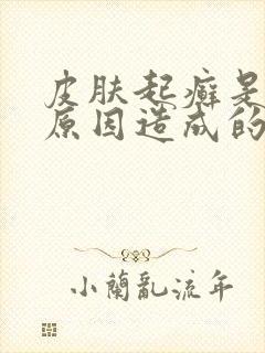 皮肤起癣是什么原因造成的
