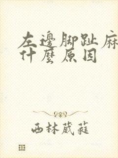 左边脚趾麻木是什么原因
