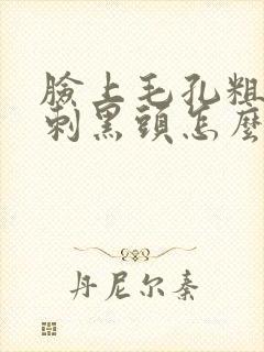 脸上毛孔粗大粉刺黑头怎么处理封面