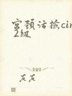 宫颈活检cin 2级