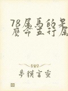 78属马的是什么命五行属性